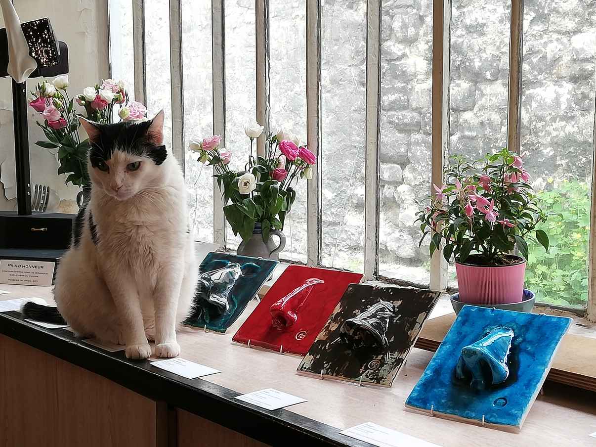 Le chat aime être dans l'atelier !