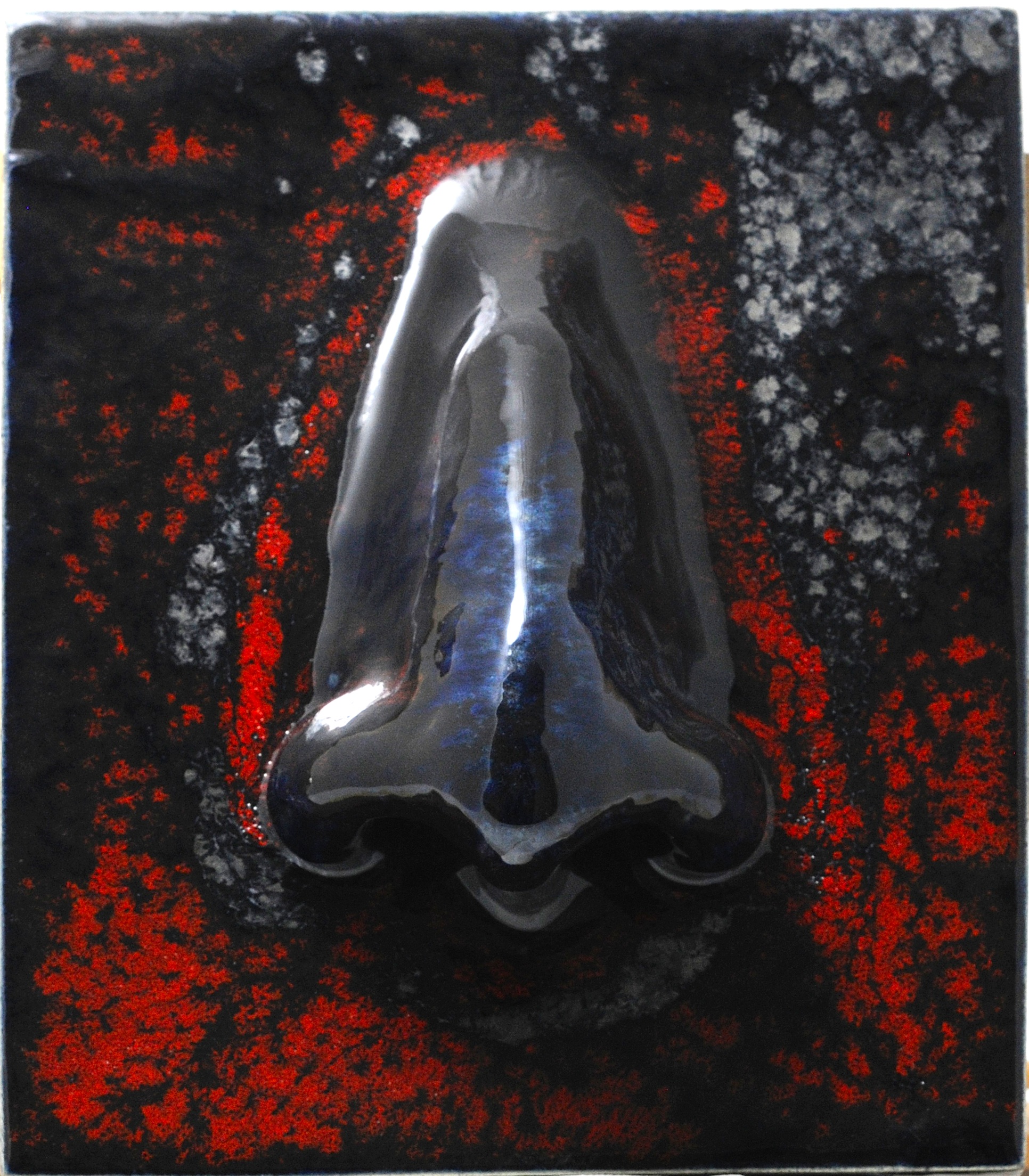NEZ DE PARFUMEURS