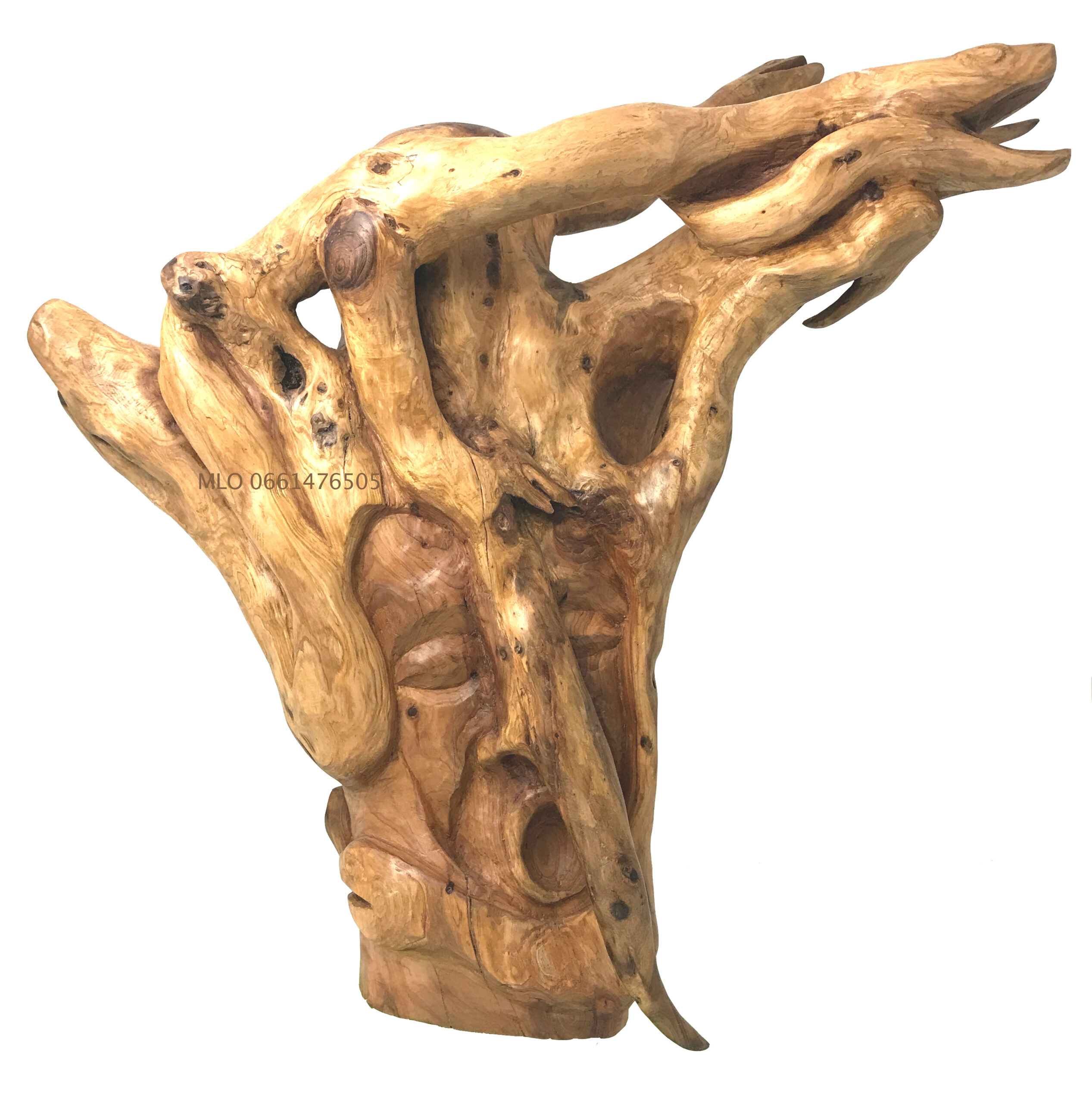 NEZ EN BOIS